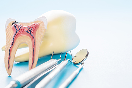The image shows two photographs side by side on the left, there s a toothbrush with a toothpaste tube and a dental mirror on the right, there s an illustration of a tooth being extracted, with visible roots and gums.
